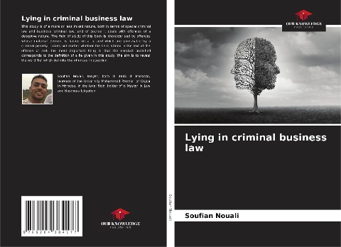 Lying in criminal business law