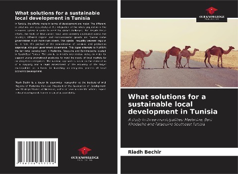 What solutions for a sustainable local development in Tunisia: A study in three municipalities: Medenine, Beni Khedache and Tataouine Southeast Tunisia