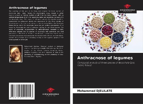 Anthracnose of legumes: Comparative study of three species of Ascochyta (pisi, rabiei, fabea)
