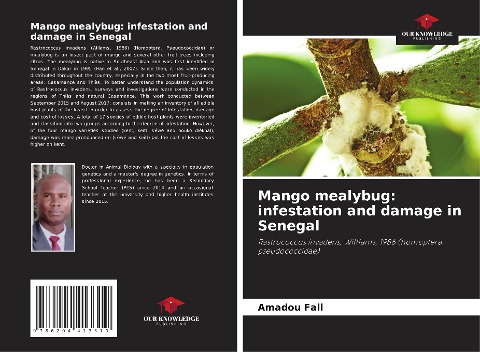 Mango mealybug: infestation and damage in Senegal: Rastrococcus invadens, Williams, 1986 (homoptera: pseudococcidae)