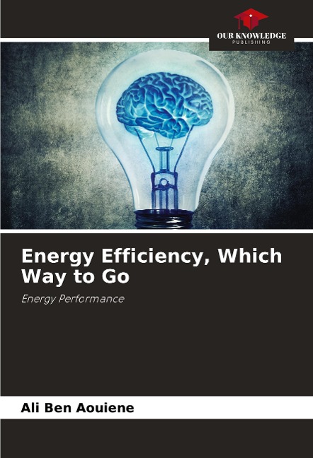 Energy Efficiency, Which Way to Go: Energy Performance