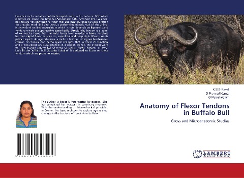 Anatomy of Flexor Tendons in Buffalo Bull: Gross and Microanatomic Studies