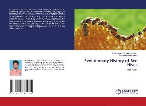 Evolutionary History of Bee Hives: Bee Hives