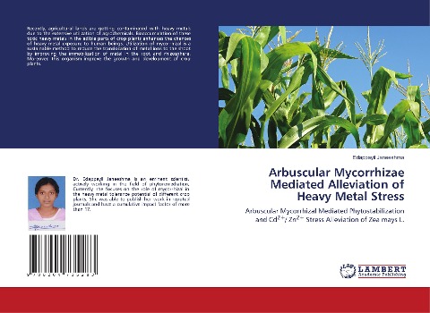 Arbuscular Mycorrhizae Mediated Alleviation of Heavy Metal Stress: Arbuscular Mycorrhizal Mediated Phytostabilization and Cd2+/ Zn2+ Stress Alleviation of Zea mays L.