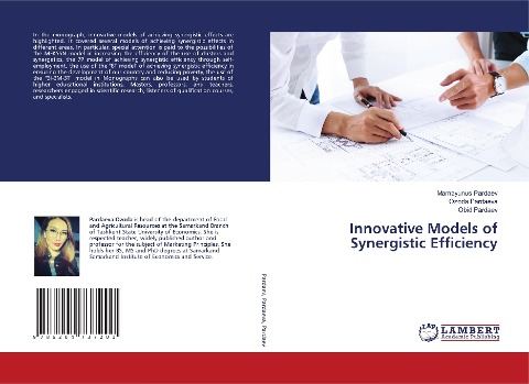 Innovative Models of Synergistic Efficiency