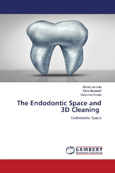 The Endodontic Space and 3D Cleaning: Endodontic Space