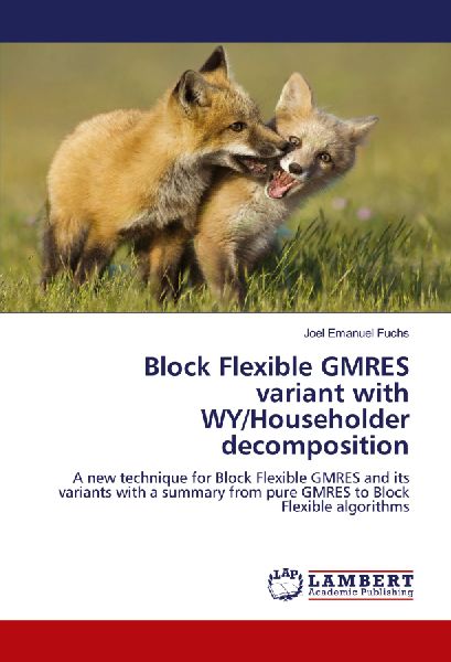 Block Flexible GMRES variant with WY/Householder decomposition: A new technique for Block Flexible GMRES and its variants with a summary from pure GMRES to Block Flexible algorithms
