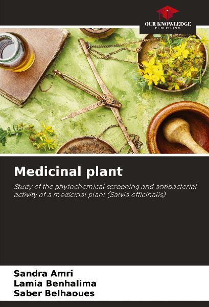 Medicinal plant: Study of the phytochemical screening and antibacterial activity of a medicinal plant (Salvia officinalis)