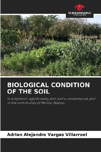 BIOLOGICAL CONDITION OF THE SOIL: In a dynamic agroforestry plot and a conventional plot in the community of Molino Blanco.