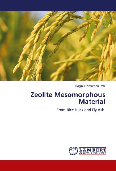 Zeolite Mesomorphous Material: From Rice Husk and Fly Ash