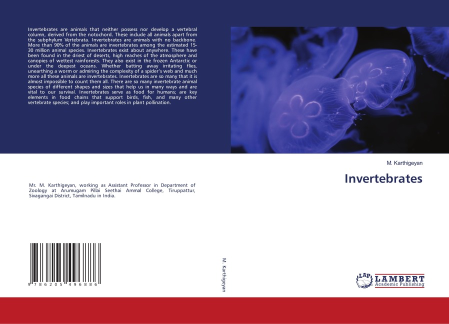 Invertebrates
