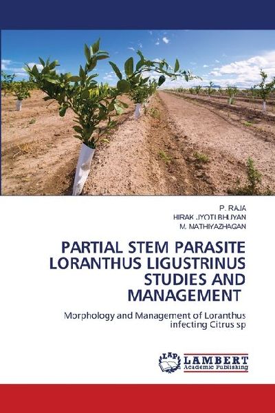 PARTIAL STEM PARASITE LORANTHUS LIGUSTRINUS STUDIES AND MANAGEMENT: Morphology and Management of Loranthus infecting Citrus sp