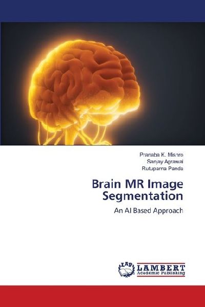 Brain MR Image Segmentation: An AI Based Approach
