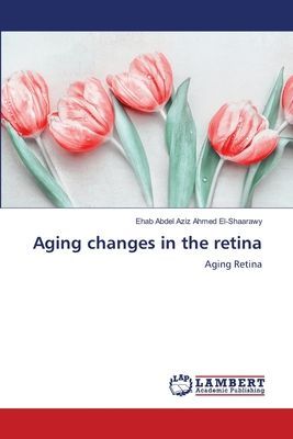 Aging changes in the retina: Aging Retina