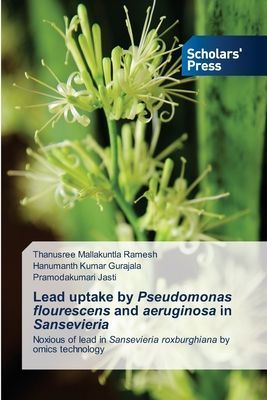 Lead uptake by Pseudomonas flourescens and aeruginosa in Sansevieria: Noxious of lead in Sansevieria roxburghiana by omics technology