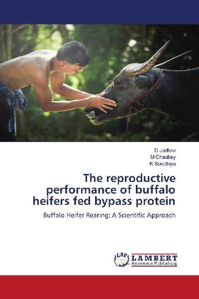 The reproductive performance of buffalo heifers fed bypass protein: Buffalo Heifer Rearing: A Scientific Approach