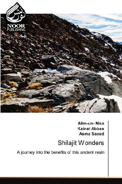 Shilajit Wonders: A journey into the benefits of this ancient resin