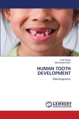 HUMAN TOOTH DEVELOPMENT: Odontogenesis