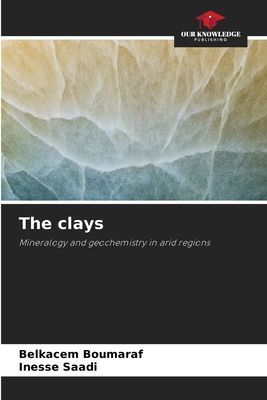 The clays: Mineralogy and geochemistry in arid regions