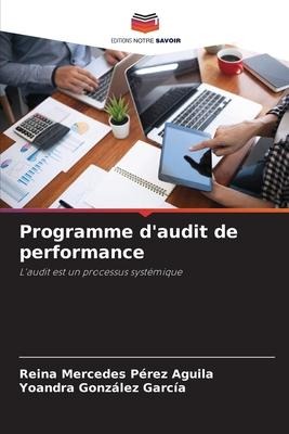 Programme daudit de performance: Laudit est un processus systémique