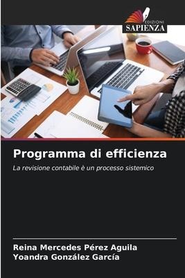 Programma di efficienza: La revisione contabile è un processo sistemico
