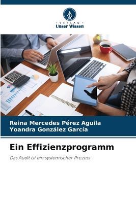 Ein Effizienzprogramm: Das Audit ist ein systemischer Prozess