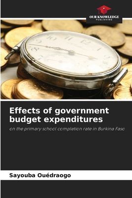 Effects of government budget expenditures: on the primary school completion rate in Burkina Faso