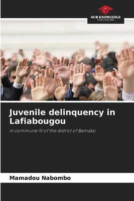 Juvenile delinquency in Lafiabougou: in commune IV of the district of Bamako