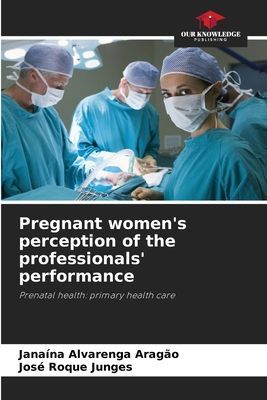 Pregnant womens perception of the professionals performance: Prenatal health: primary health care