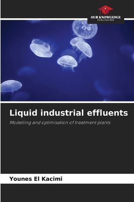 Liquid industrial effluents: Modelling and optimisation of treatment plants