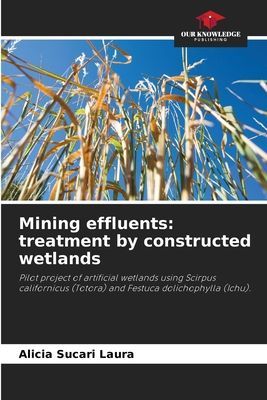 Mining effluents: treatment by constructed wetlands: Pilot project of artificial wetlands using Scirpus californicus (Totora) and Festuca dolichophylla (Ichu).