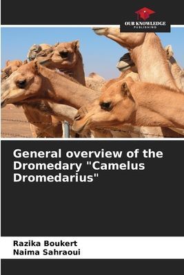 General overview of the Dromedary Camelus Dromedarius