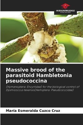 Massive brood of the parasitoid Hambletonia pseudococcina: (Hymenoptera: Encyrtidae) for the biological control of Dysmicoccus texensis(Hemiptera: Pseudococcidae)