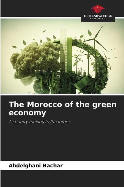 The Morocco of the green economy: A country looking to the future