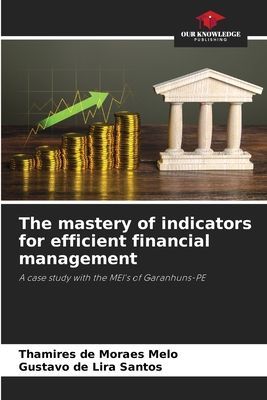 The mastery of indicators for efficient financial management: A case study with the MEIs of Garanhuns-PE