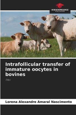 Intrafollicular transfer of immature oocytes in bovines: Tifoi