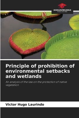 Principle of prohibition of environmental setbacks and wetlands: An analysis of the law on the protection of native vegetation
