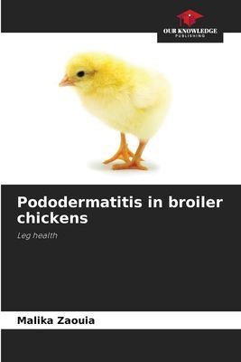 Pododermatitis in broiler chickens: Leg health
