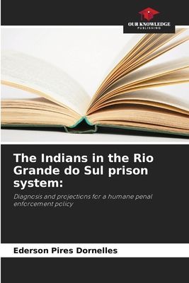 The Indians in the Rio Grande do Sul prison system:: Diagnosis and projections for a humane penal enforcement policy