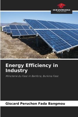 Energy Efficiency in Industry: Minoterie du Faso in Banfora, Burkina Faso