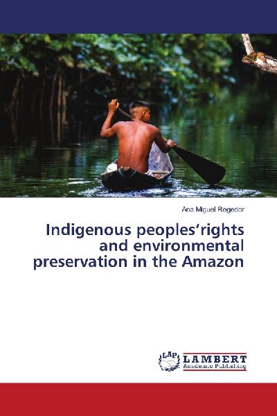 Indigenous peoplesrights and environmental preservation in the Amazon
