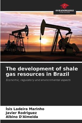 The development of shale gas resources in Brazil: Economic, regulatory and environmental aspects