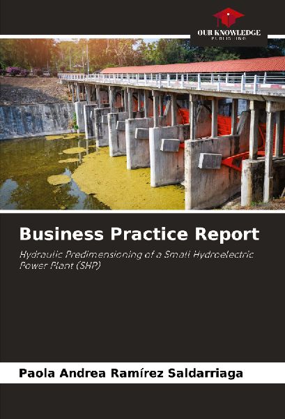 Business Practice Report: Hydraulic Predimensioning of a Small Hydroelectric Power Plant (SHP)