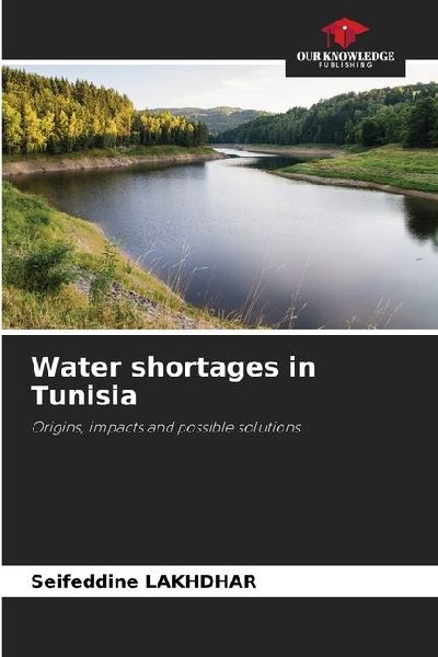 Water shortages in Tunisia: Origins, impacts and possible solutions