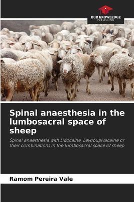 Spinal anaesthesia in the lumbosacral space of sheep: Spinal anaesthesia with Lidocaine, Levobupivacaine or their combinations in the lumbosacral space of sheep