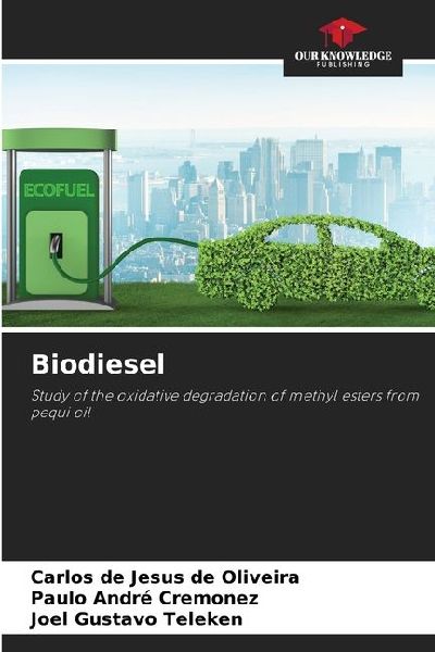 Biodiesel: Study of the oxidative degradation of methyl esters from pequi oil