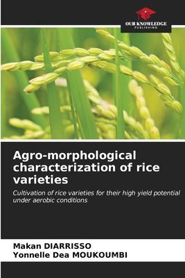 Agro-morphological characterization of rice varieties: Cultivation of rice varieties for their high yield potential under aerobic conditions