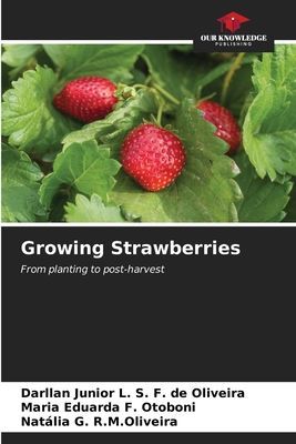 Growing Strawberries: From planting to post-harvest