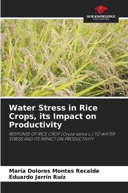 Water Stress in Rice Crops, its Impact on Productivity: RESPONSE OF RICE CROP (Oryza sativa L.) TO WATER STRESS AND ITS IMPACT ON PRODUCTIVITY