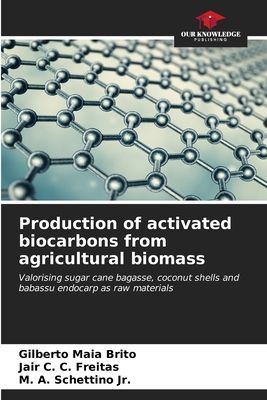 Production of activated biocarbons from agricultural biomass: Valorising sugar cane bagasse, coconut shells and babassu endocarp as raw materials
